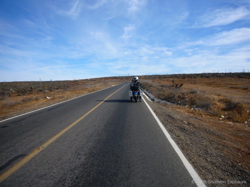 MattonCactusRoad.jpg