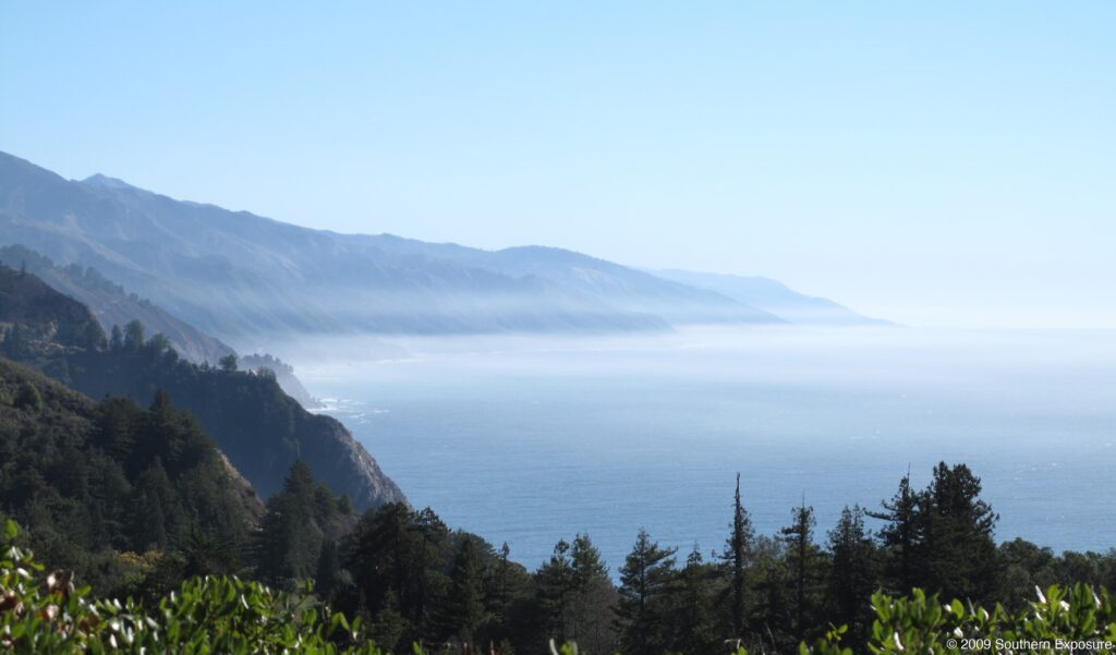 NapentheView.jpg