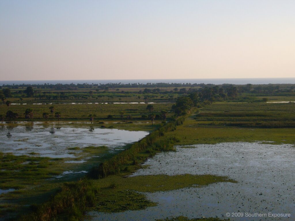 MexicoCoastalWetlands.jpg