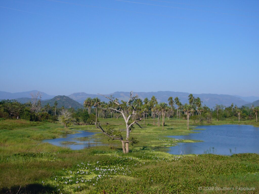 MexicoWetlands1.jpg