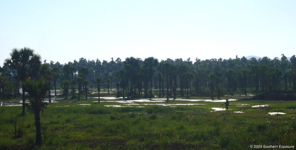 MexicoWetlands2.jpg