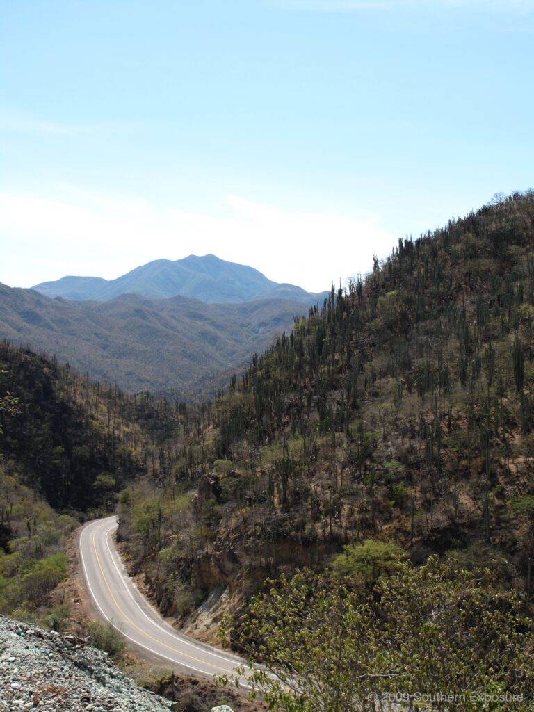 OaxacaCactusRoad.jpg