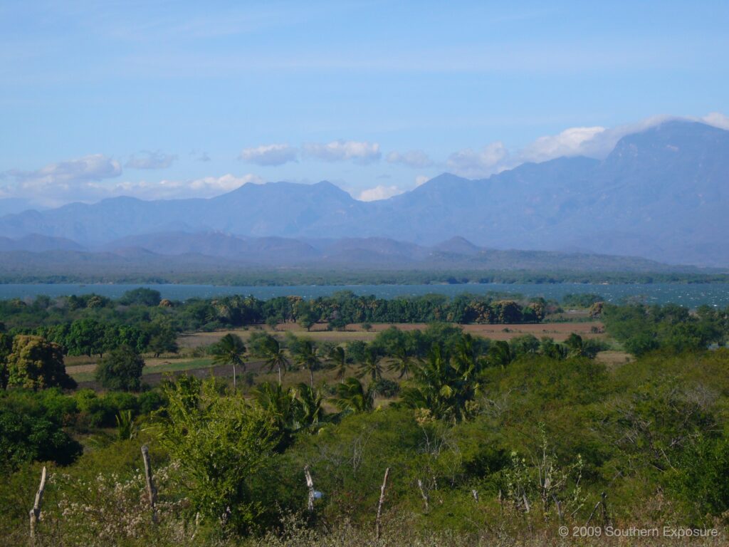 PalmLake.jpg