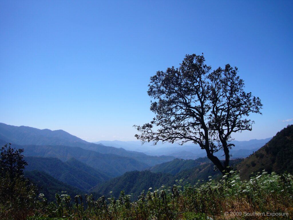 SierraView.jpg