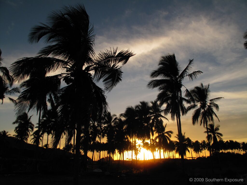 TenacatitaSunsetPalms.jpg