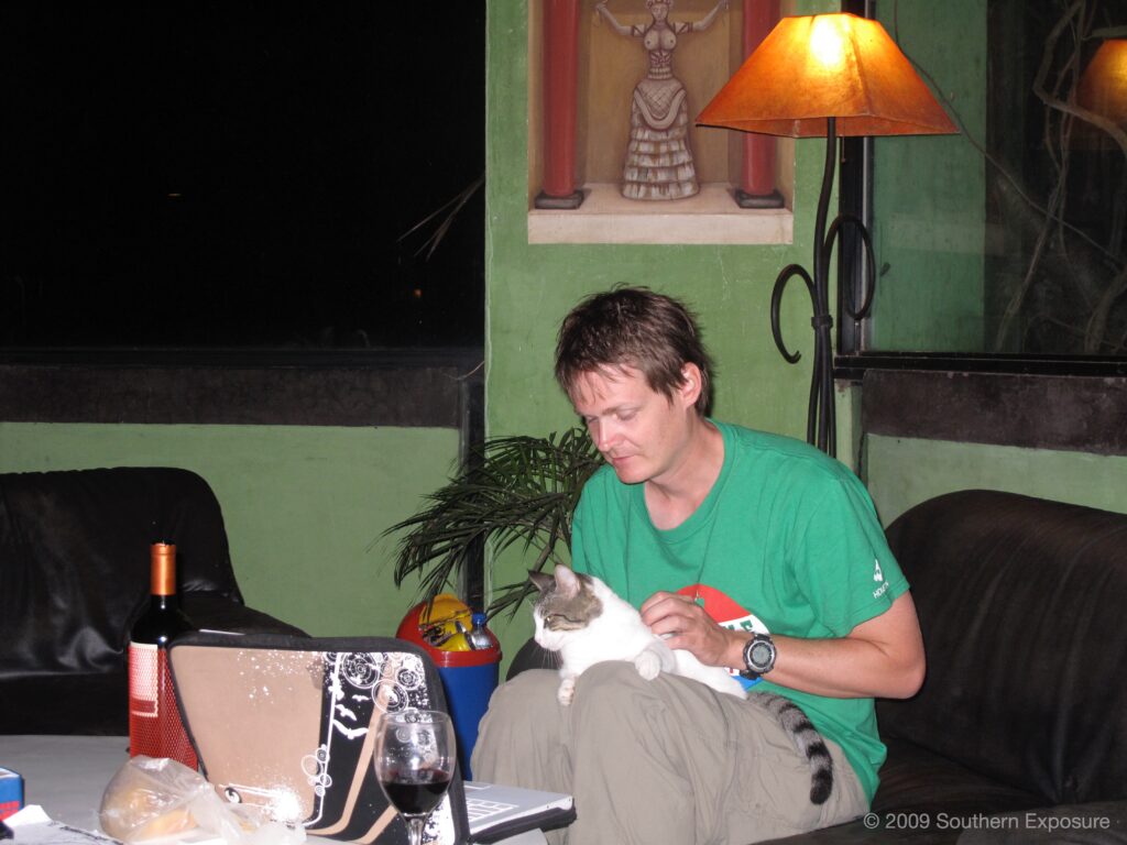 ArenalCat.jpg