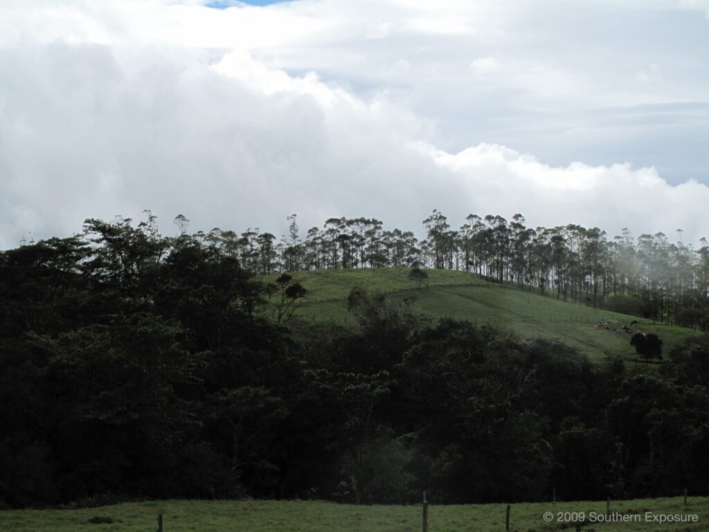 CostaRicaCloudTrees.jpg