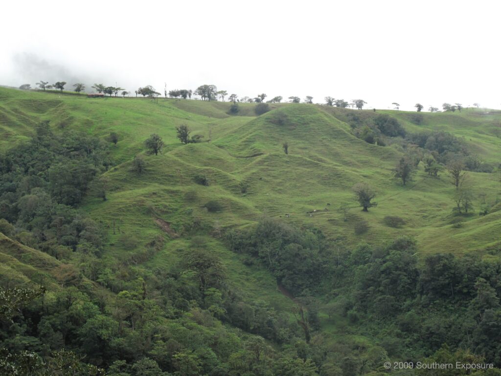 CostaRicaFlowing.jpg