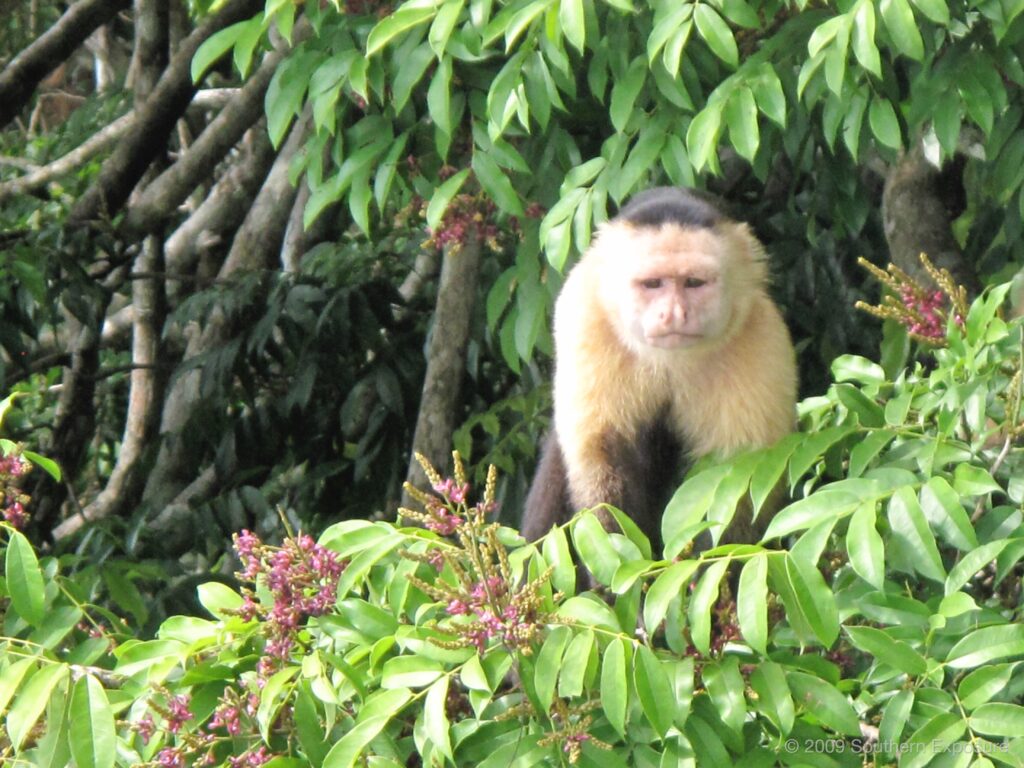 IMG_1621.jpg