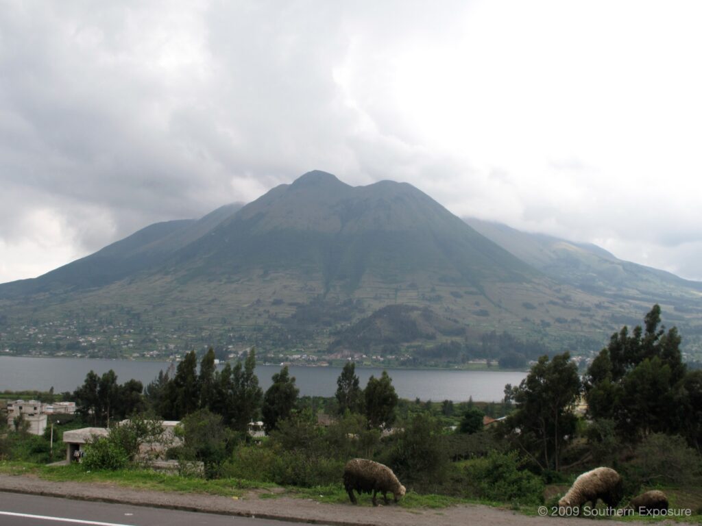 IMG_1947.jpg