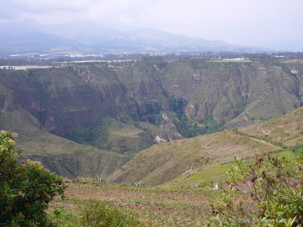 P1020626.jpg