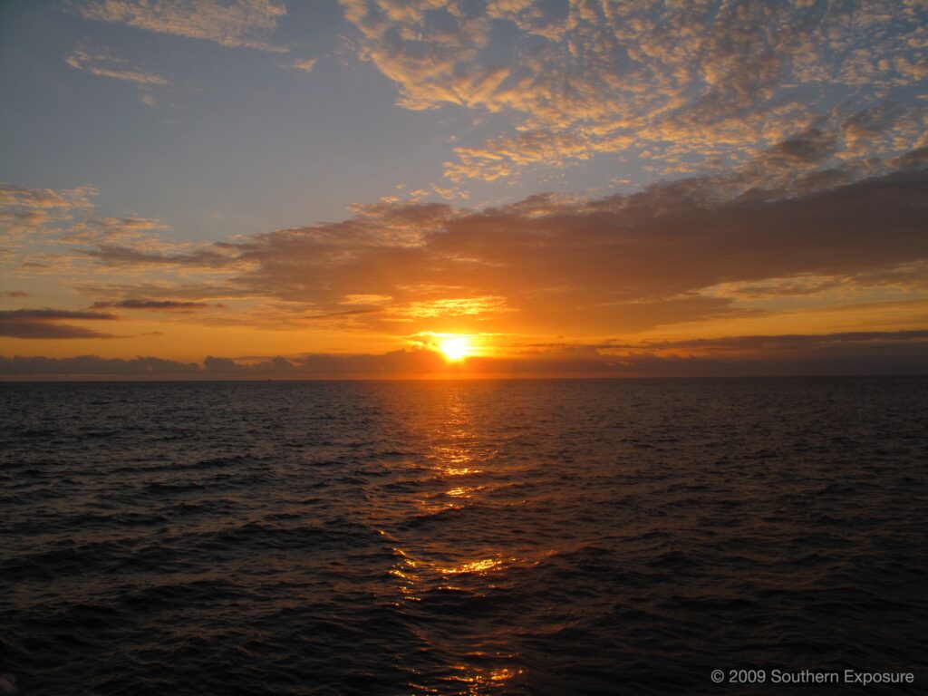 IMG_2291.jpg