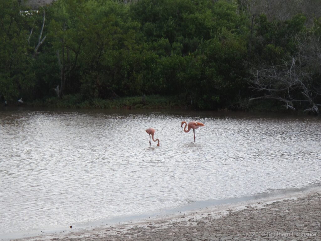 IMG_2563.jpg