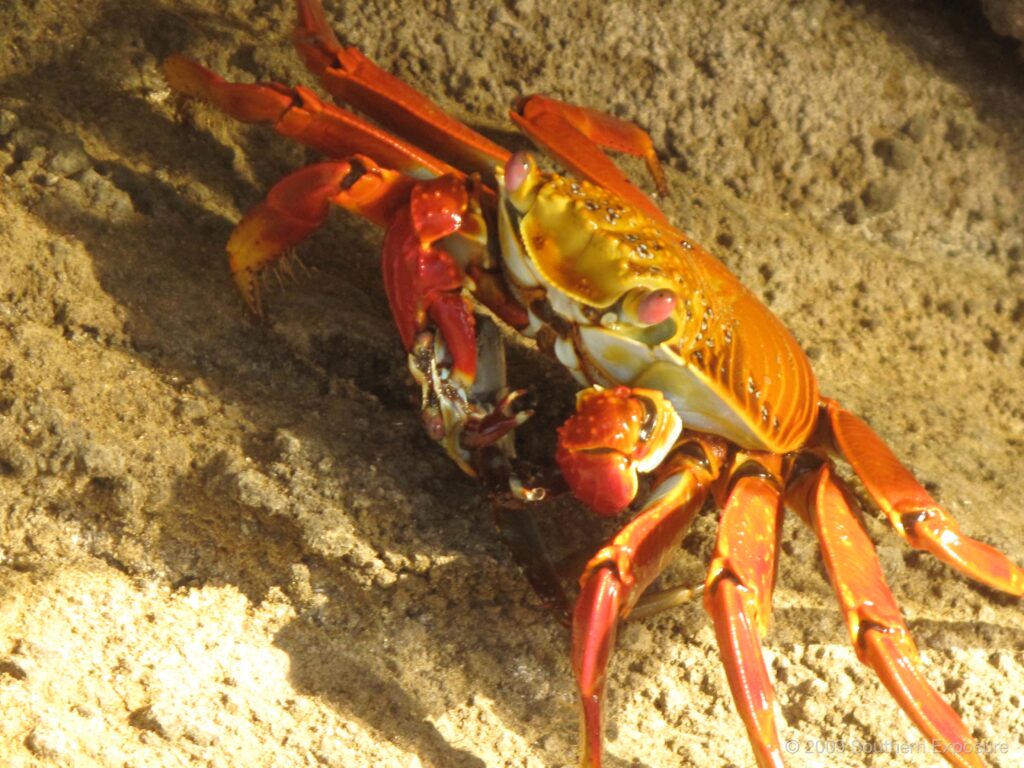 IMG_2706.jpg