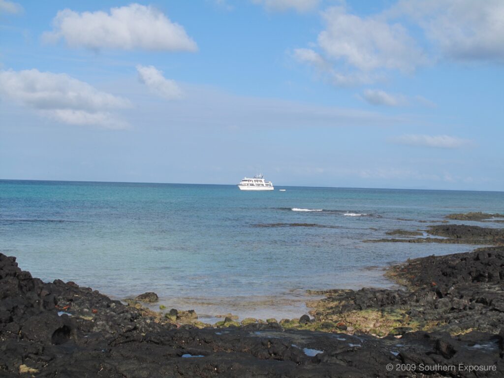 IMG_2730.jpg