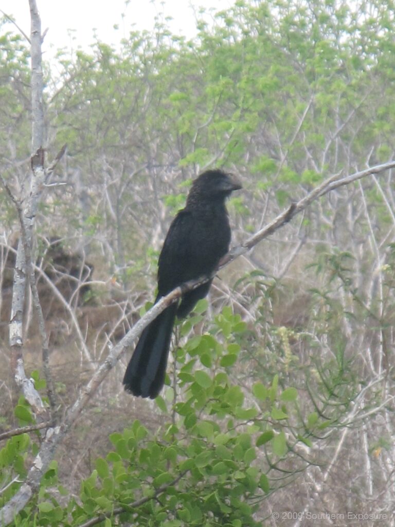 IMG_2744.jpg