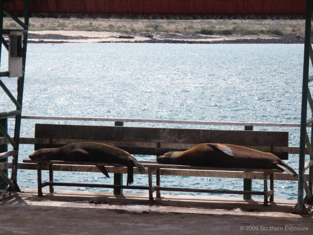 IMG_2774.jpg