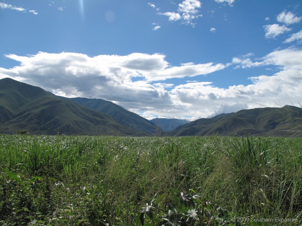 IMG_3257.jpg