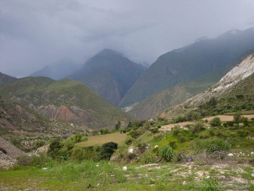P1020822.jpg