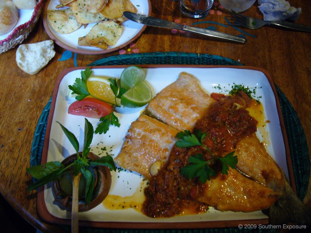 P1030061.jpg