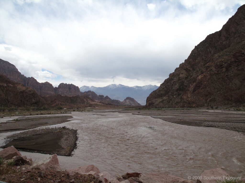 IMG_4884.jpg