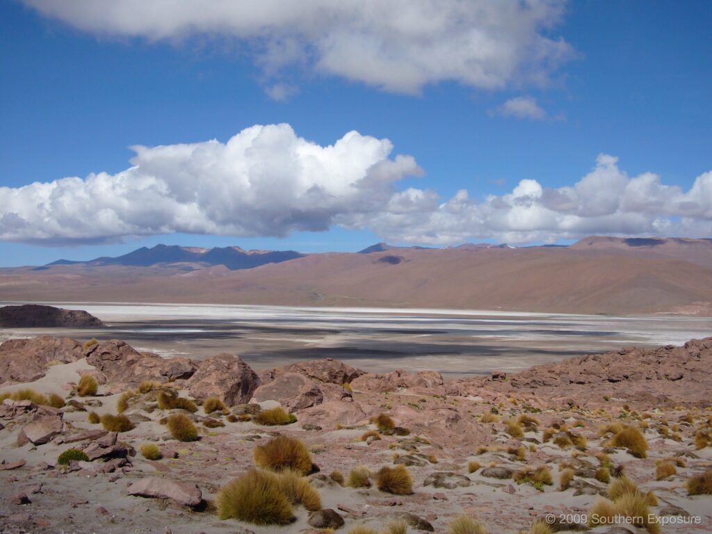 P1030243.jpg