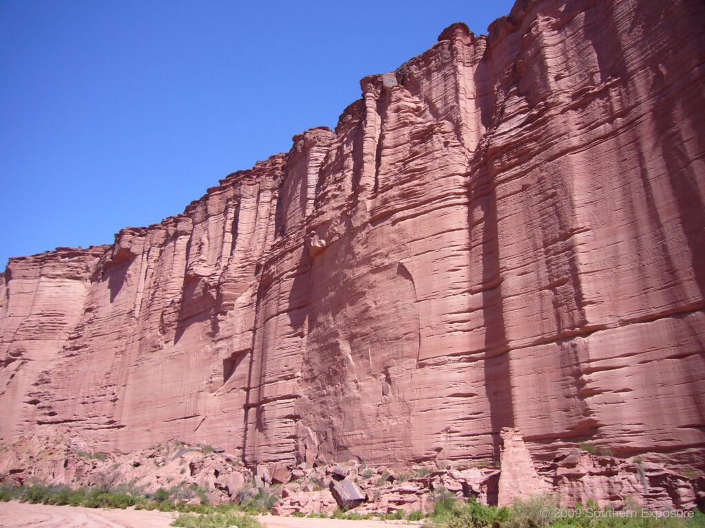P1030544.jpg