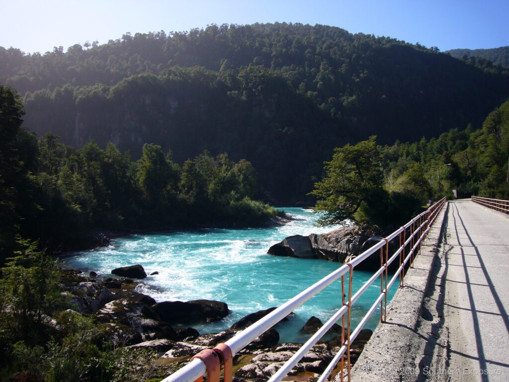 P1030673.jpg