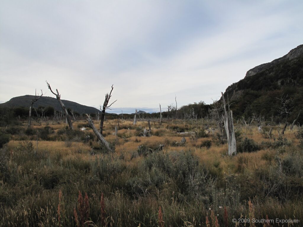IMG_5887.jpg