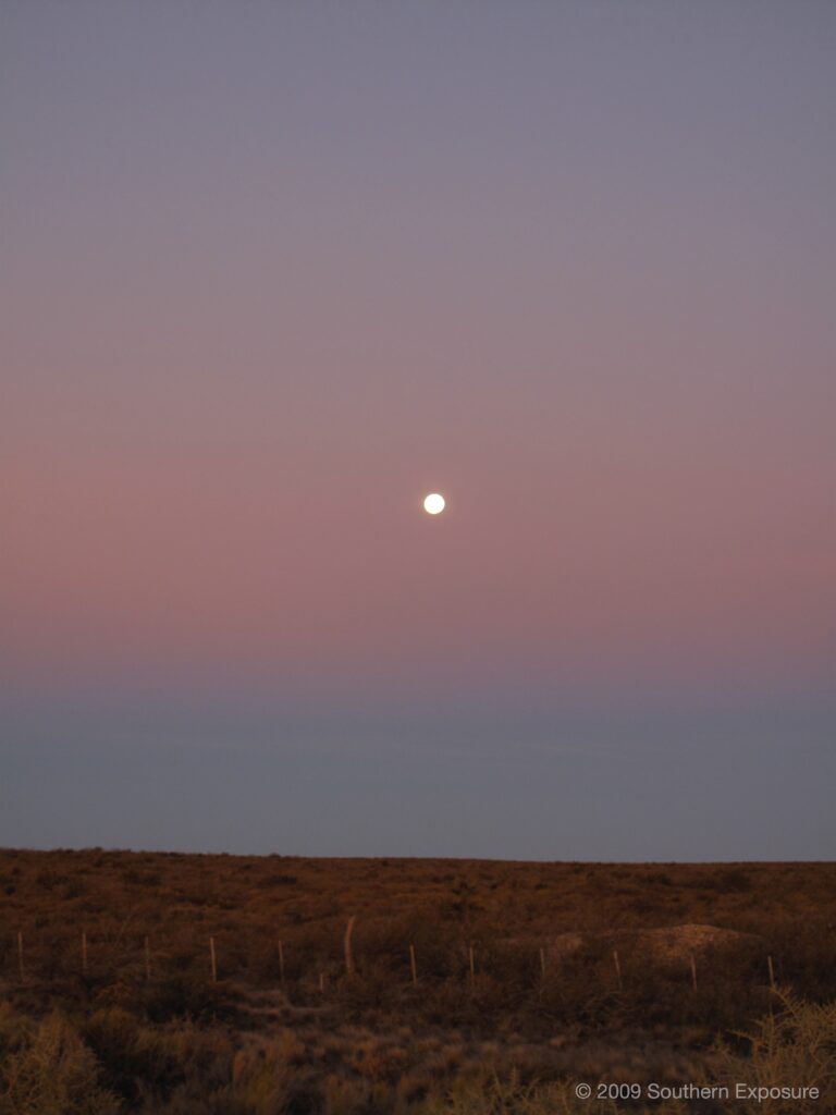 IMG_6268.jpg