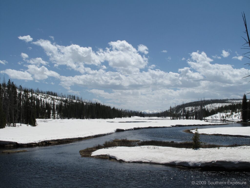 IMG_7618.jpg