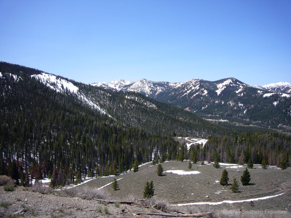 P1040353.jpg